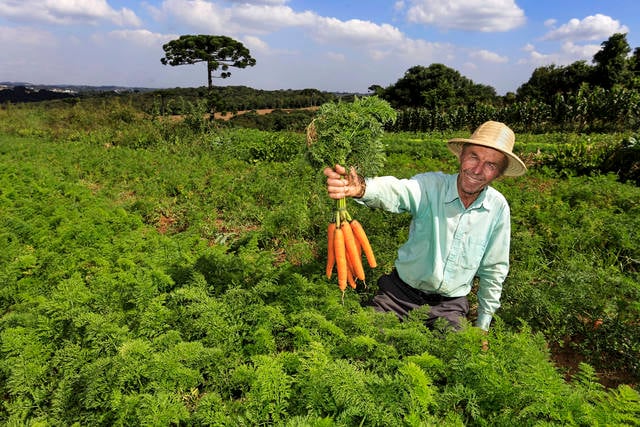 agricultura familiar