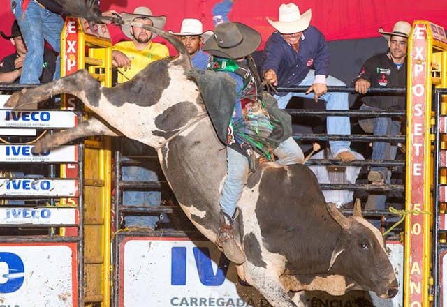 Fonte: PBR Brasil