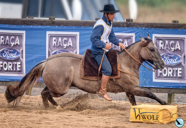 Confira o resultado das fêmeas no segundo dia de provas da grande final