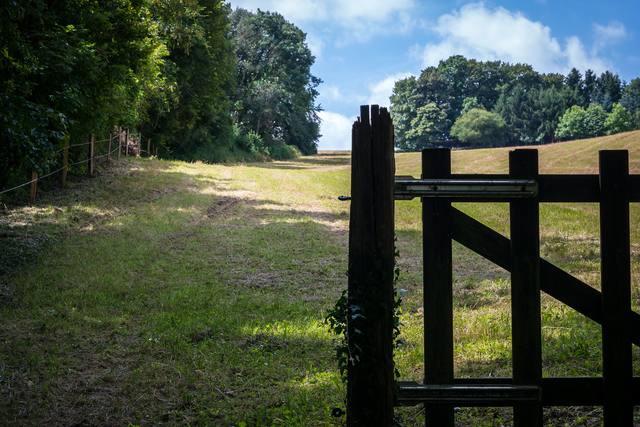 Governo adiou edição da MP do Funrural a pedido dos ruralistas, diz deputado