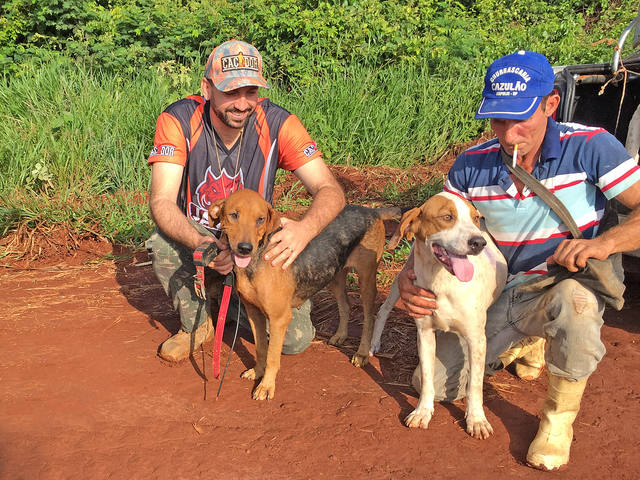 Fonte: Patrick Mesquita/Canal Rural