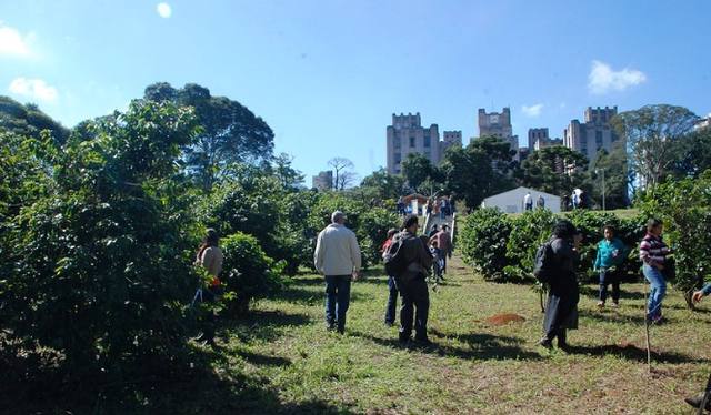 Fonte: Secretaria de Agricultura-SP/divulgação