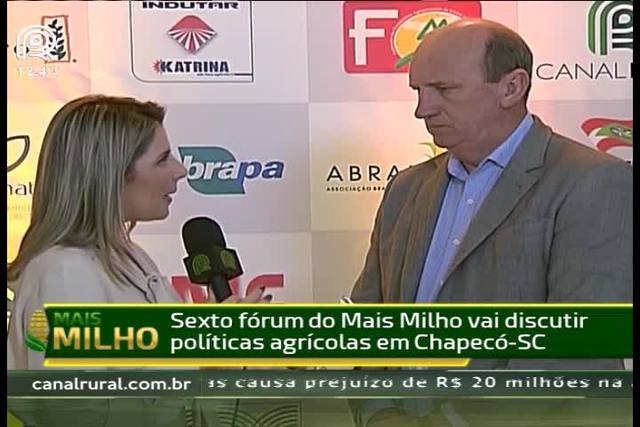 Geller: É preciso acesso ao preço mínimo do milho