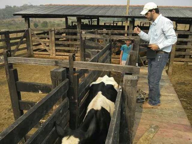 Fonte: Secretaria Especial de Agricultura Familiar e do Desenvolvimento Agrário