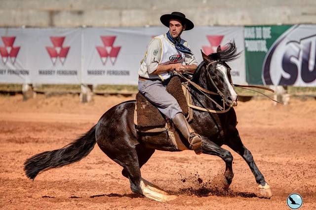 Fonte: Luis Felipe Ulbrich/Freio de Ouro