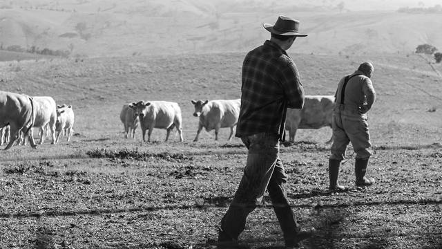 MG: funcionários estão envolvidos em mais de 80% dos casos de roubo no campo