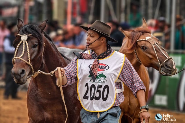 Fonte: Felipe Ulbrich/ Associação Brasileira de Criadores de Cavalos Crioulos