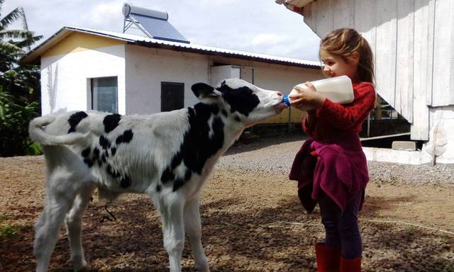 Dia das Crianças: veja as fotos da nova geração do agro brasileiro