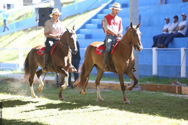 Veja o 3º dia do Campeonato Brasileiro de Marcha Batida