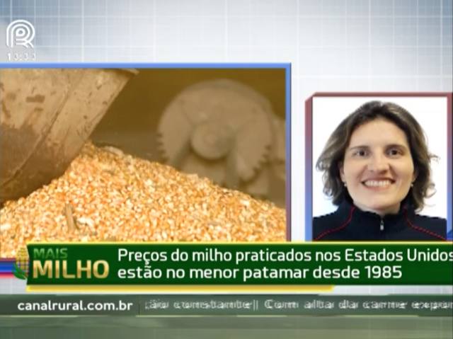 Preços do milho estão no menor patamar desde 1985