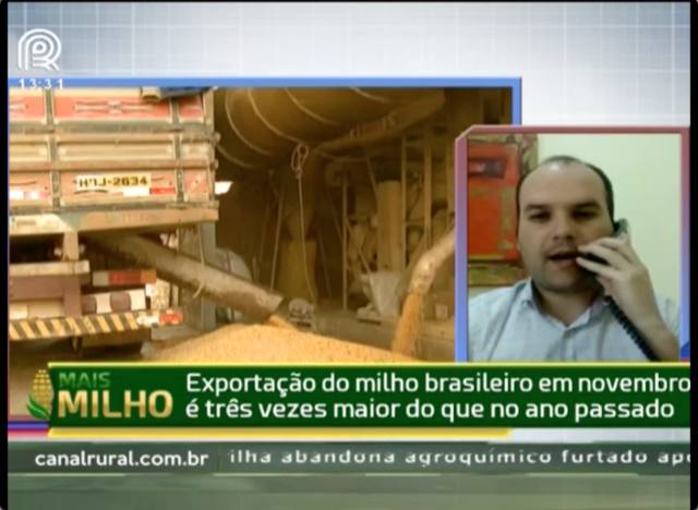 Exportações do milho sobem 228% em novembro