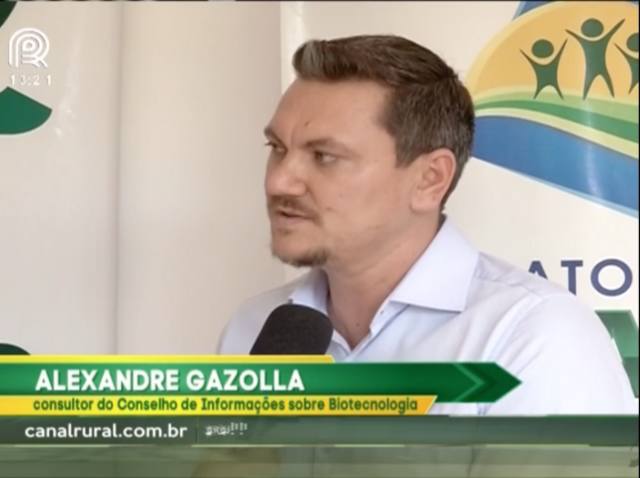 MT: sojicultores não conseguem elevar produtividade