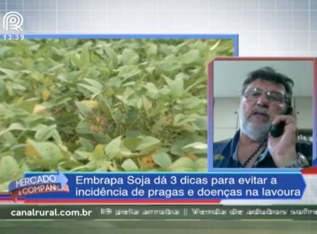 Fonte: Reprodução