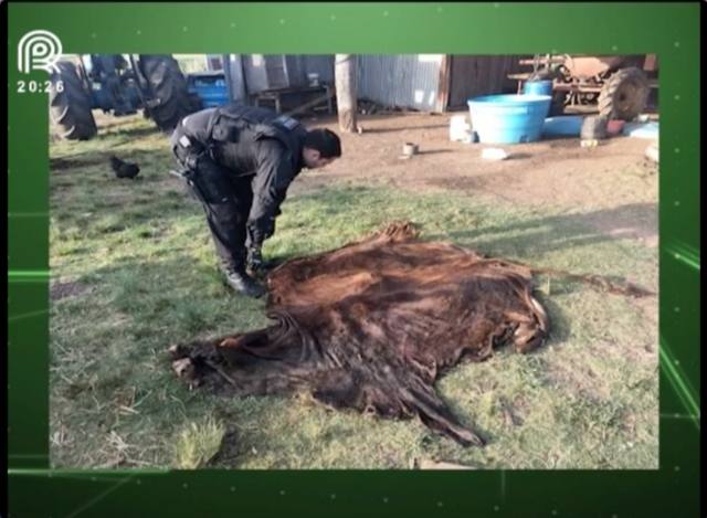 RS: três suspeitos são presos por roubo de gado