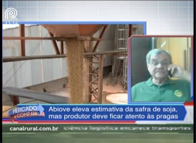 Soja: especialistas alertam para as pragas desta safra