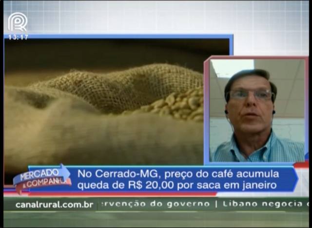 Café: preço acumula queda de R$ 20 por saca