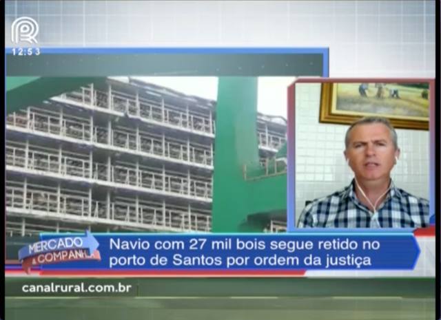 Navio com 27 mil bois segue parado em Santos