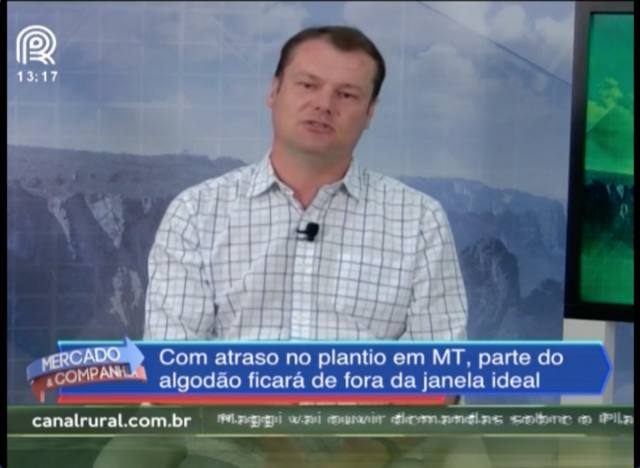 MT: atraso no plantio da soja prejudica algodão