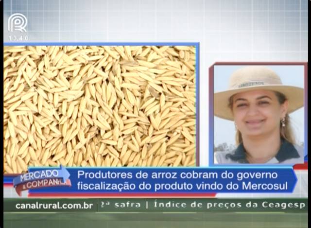 Produtores de arroz cobram fiscalização do governo