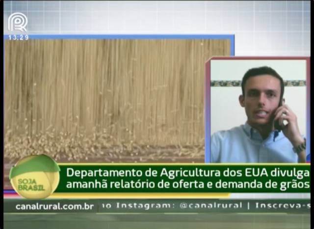 Relatório do USDA deve ser baixista para a soja