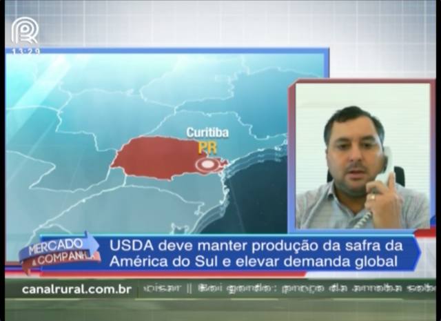 Soja: USDA deve manter produção da América do Sul