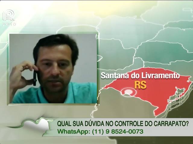 Melhoramento genético é aliado no combate a carrapato