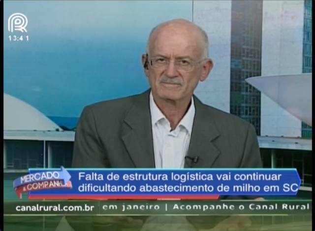 Milho: logística deve afetar abastecimento de SC