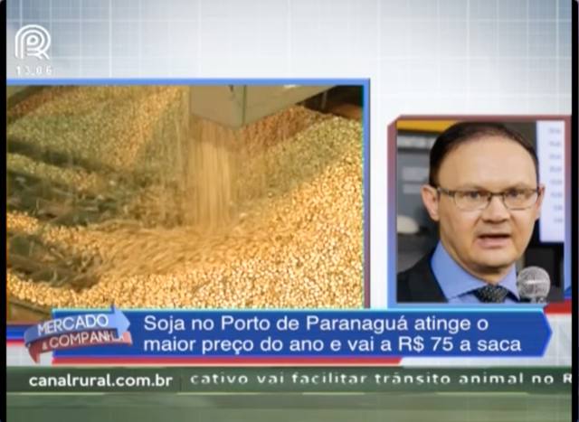 Soja atinge R$ 75 no porto de Paranaguá