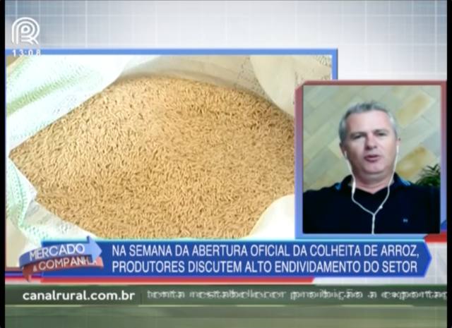 Endividamento preocupa setor do arroz