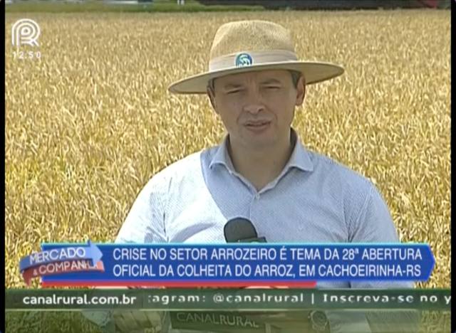 Arroz: crise no setor é discutida na abertura da colheita