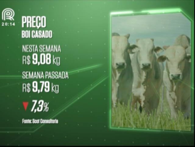 Análise: por que a carne bovina continua em baixa?