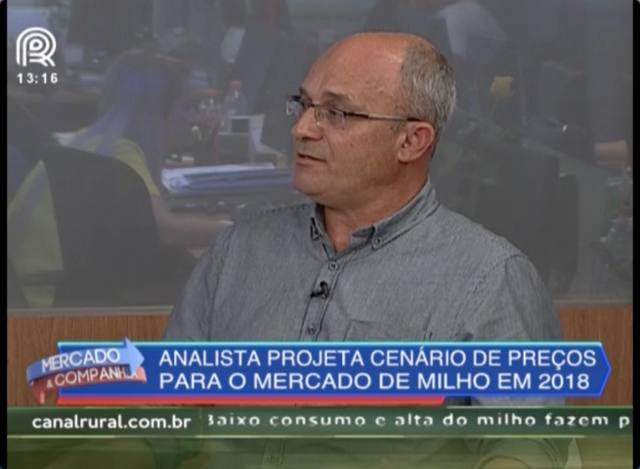 Atual preço do milho é o melhor para todo o ano, diz analista