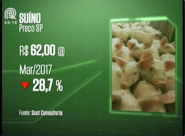 Desvalorização do suíno preocupa produtores