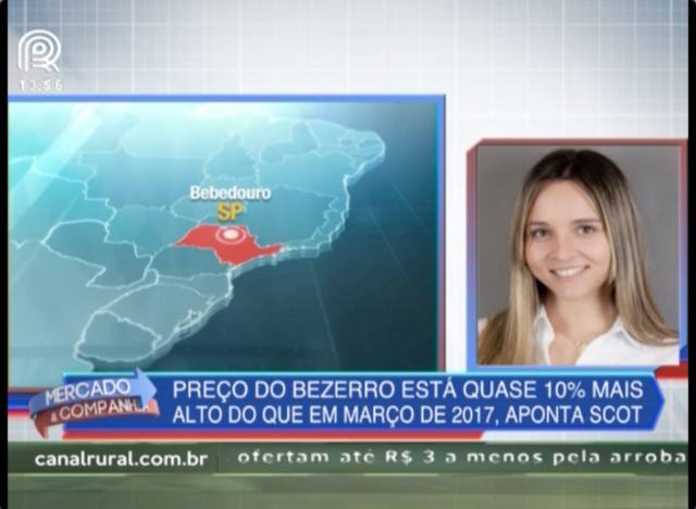 Preço do bezerro está 10% maior que em 2017