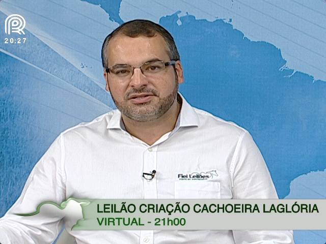 Criação Cachoeira Laglória leiloa mangalarga marchador