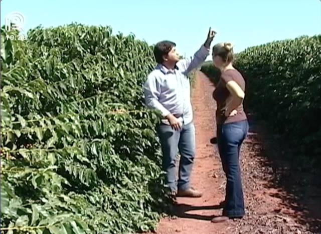 Café: clima ajuda, mas custo preocupa o produtor