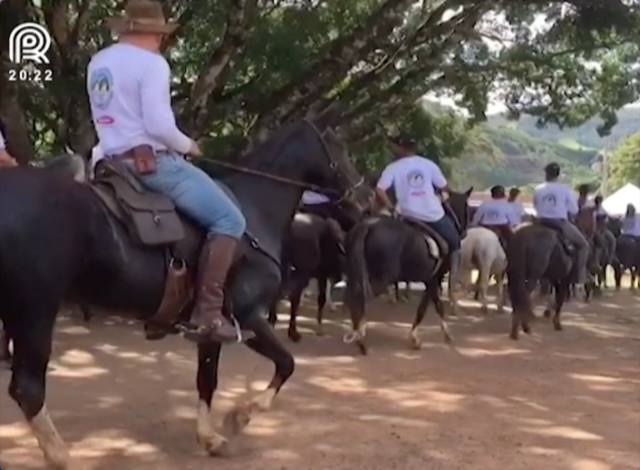 Cavalo: veja como será a maior cavalgada do mundo