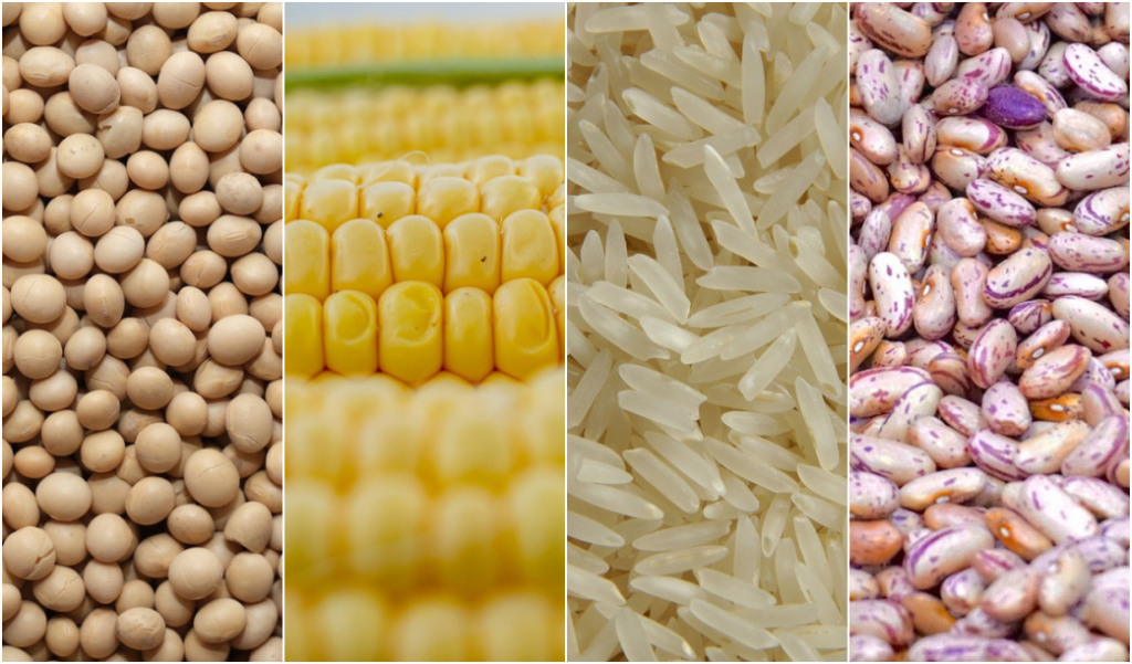 soja, milho, arroz, feijão soja, milho, arroz, feijão