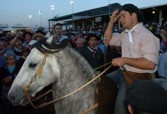 Rodopio de São Pedro e Infância do Itaó são os cavalos vencedores do Freio de Ouro