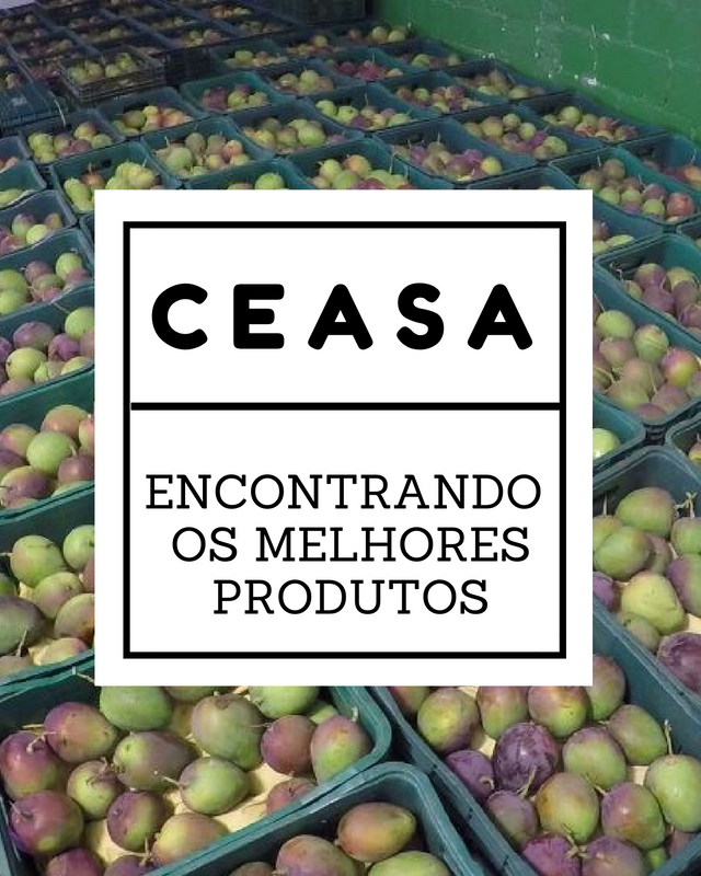 O corre-corre para garantir os melhores produtos no Ceasa