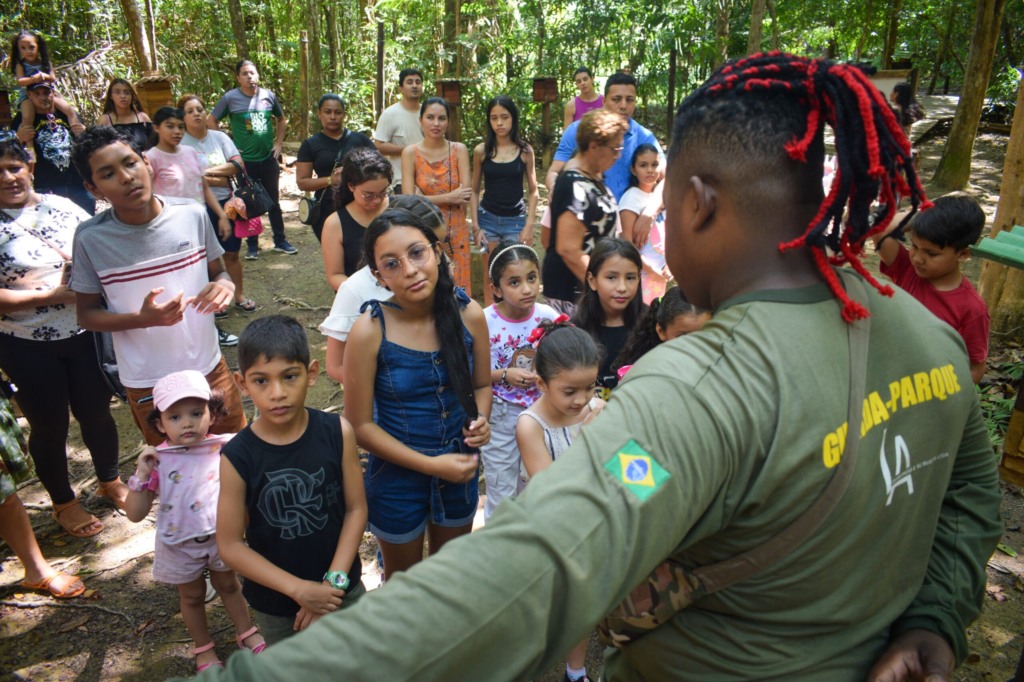 visita ao meliponário , criação de abelhas sem ferrão
