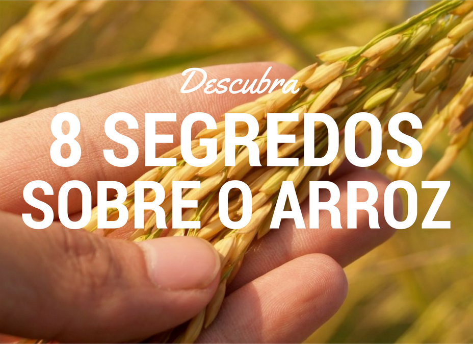 De Maomé a amido no rosto: descubra 8 segredos sobre o arroz