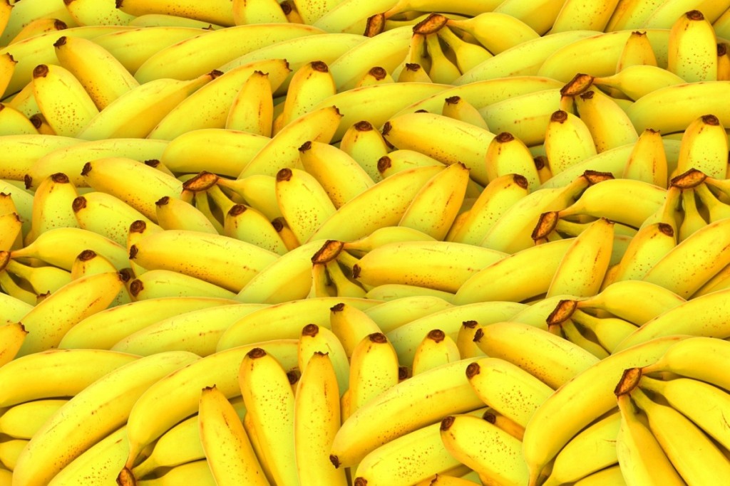 banana_naestrada5