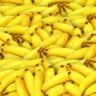 banana_naestrada5 banana_naestrada5
