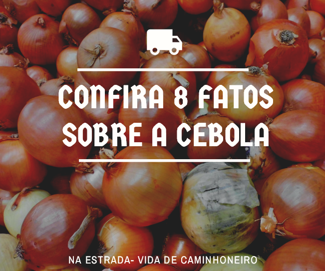 Do choro ao presente de casamento: veja 8 fatos sobre a cebola