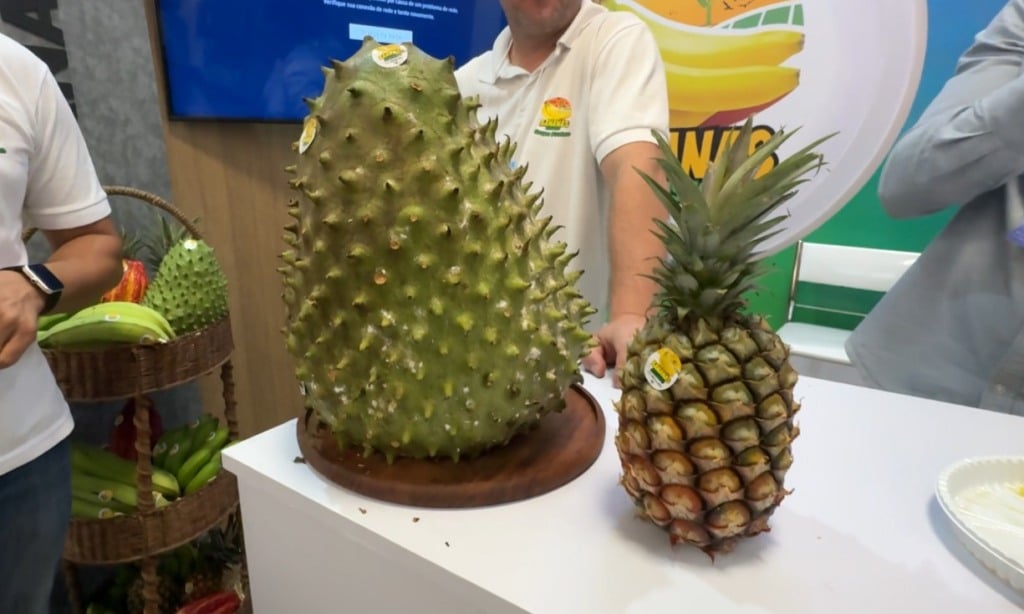 Graviola, fruta gigante, E-agro 2024, e-agro, em Salvador, Bahia, feita agropecuária