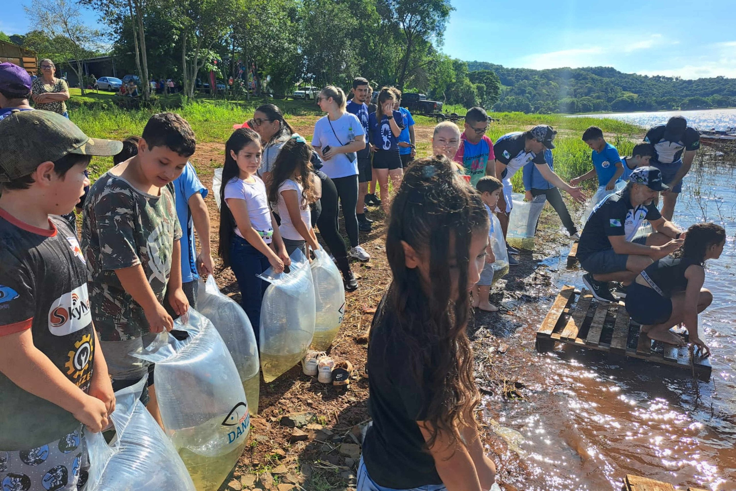 Soltura de peixes no Rio Iguaçu em 2021 e 2022