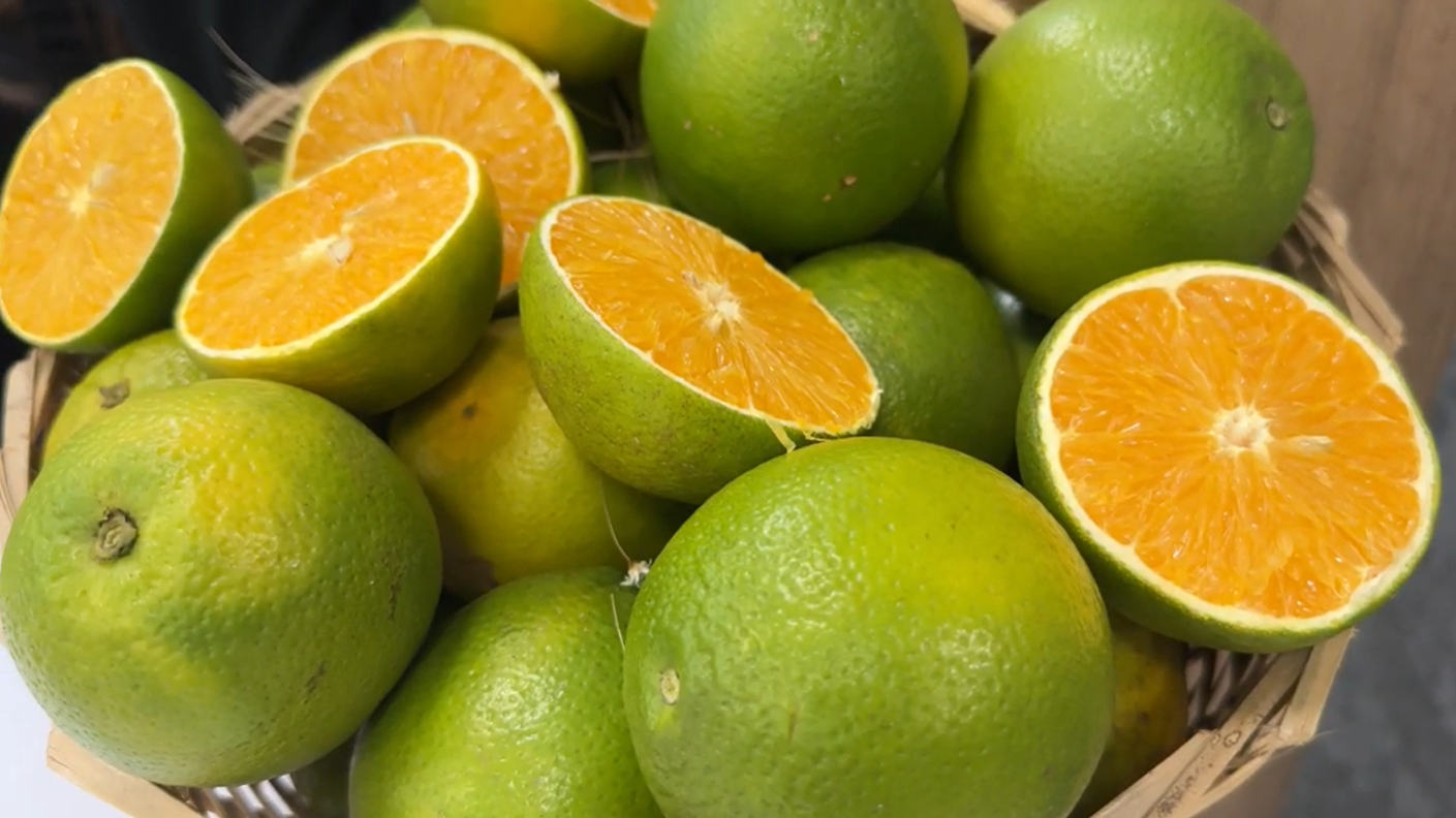Mesmo fora do tarifaço, setor do suco de laranja pode ter prejuízo de R$ 1,5 bilhão