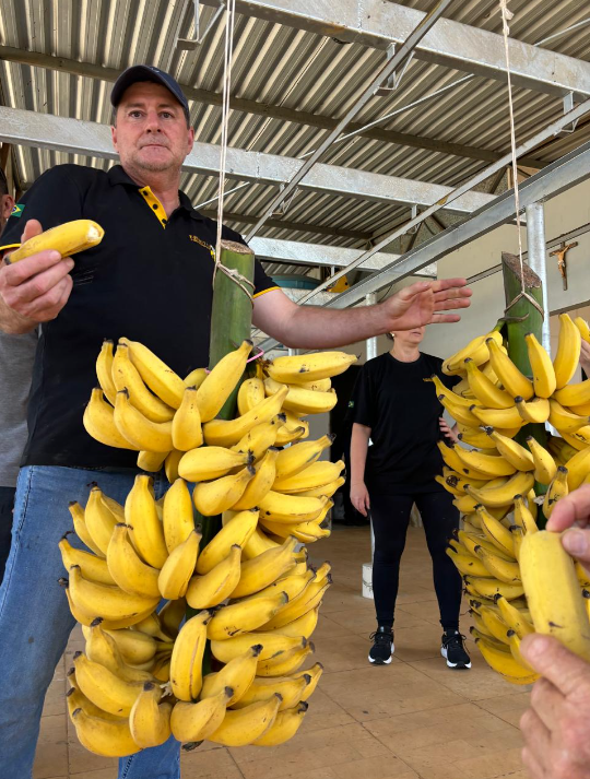 Homem em pé com várias pencas de banana