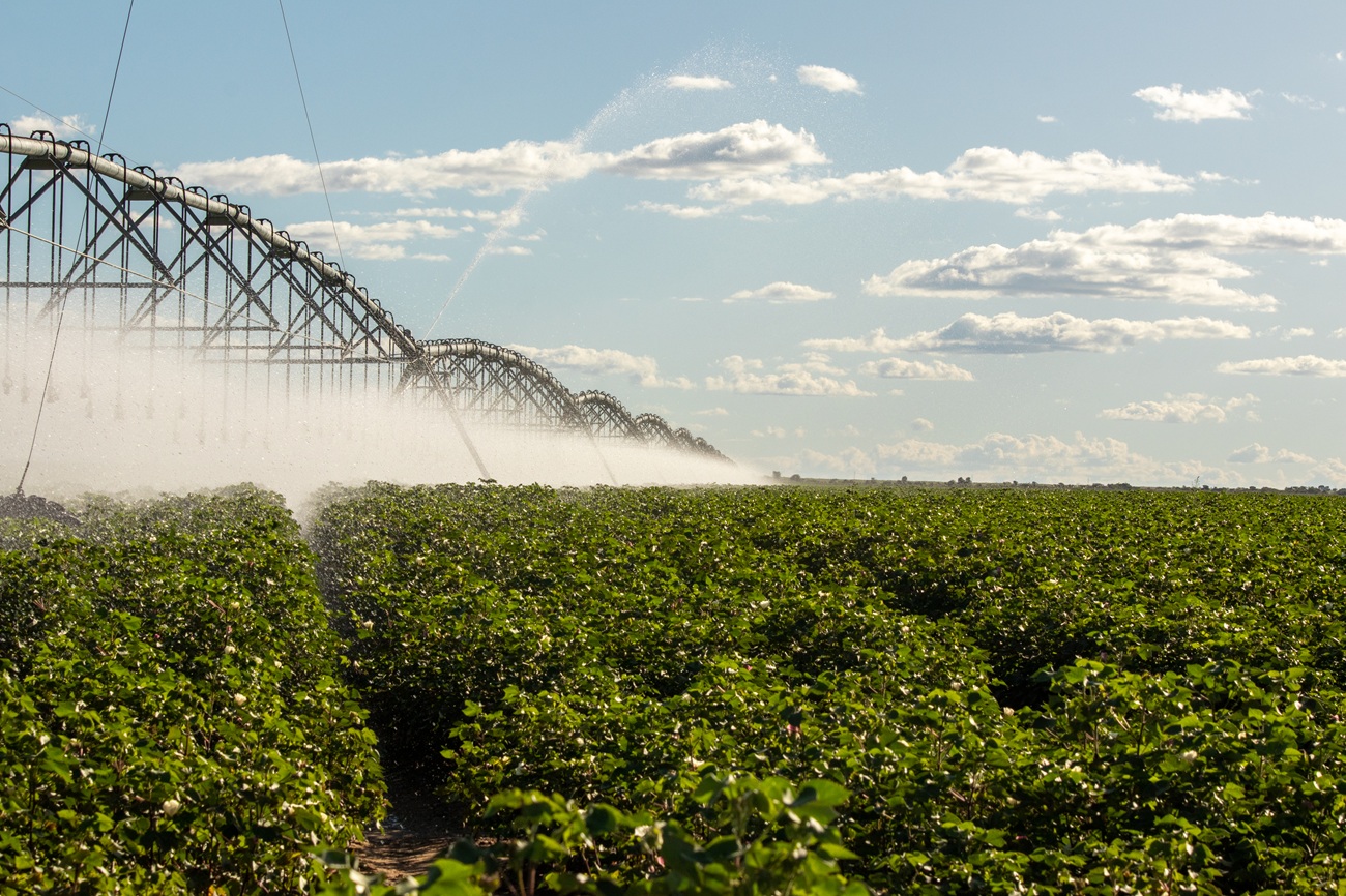 Extremo Oeste da Bahia tem o maior polo de irrigação por pivô do Brasil; pivô central